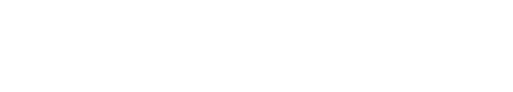 Nanoscale Advanced Integrated System